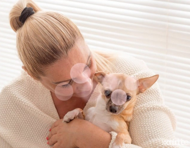 Silvi.Alle Infos im Text – Emmen photo 4